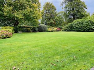 Photo 4- click for photo gallery